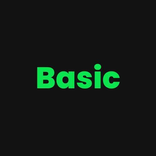 Basic Basic